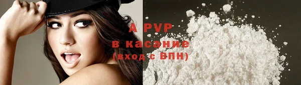 мяу мяу мука Надым